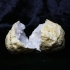 Kristal Kuvars Taşı İşlenmemiş Doğal Taş | Koleksiyonluk Jeot