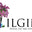 DOĞAL TAŞ TAKI DÜNYASI logo